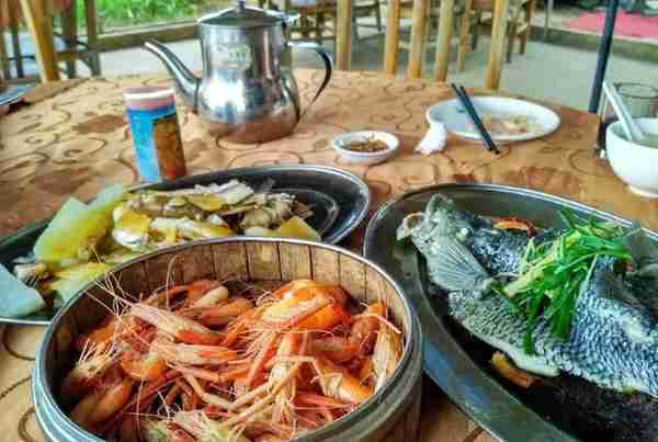 佛山海寿岛‖西江上的“世外桃源”，岛上蟹香虾美鱼肥，即捞即煮