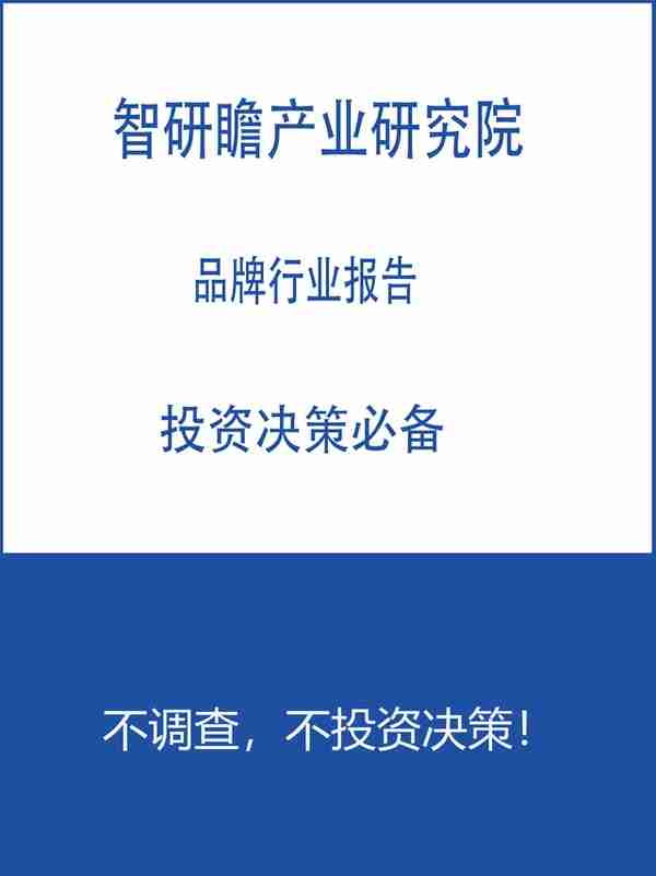 2022-2028年中国地方政府投融资平台行业市场现状研究及分析报告
