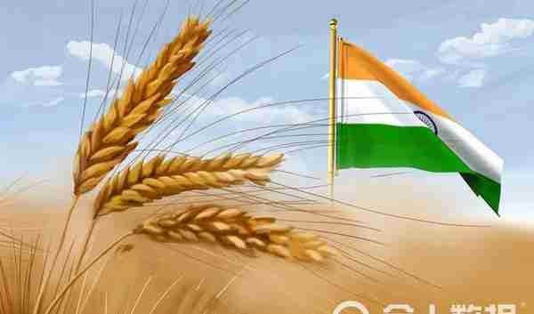 全球化肥短缺？最大大米出口国印度嗅到危机，补贴245亿加快生产