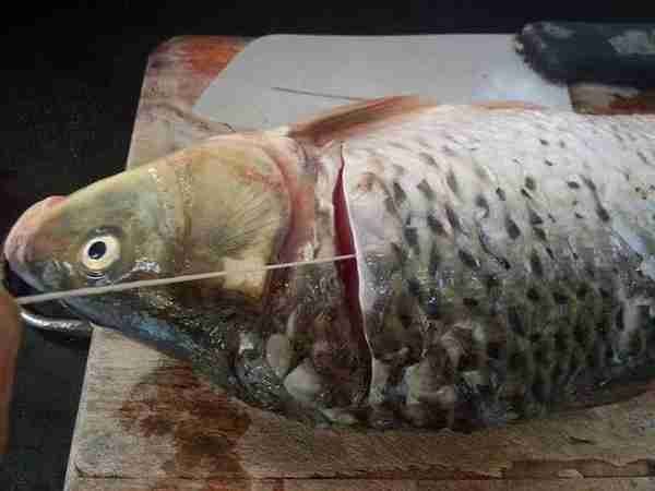 吃了屁股漏油三天，被多国拉黑的油鱼，为何在中国餐桌“畅销”？