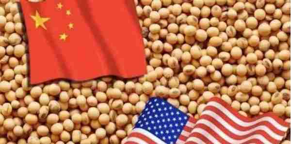 2003年中美大豆战争：四大粮商联合企图做空中国，却被中储粮击溃